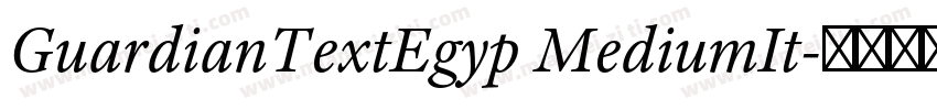 GuardianTextEgyp MediumIt字体转换